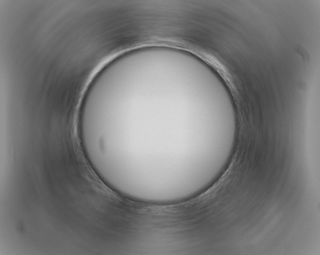 X0000112861280200910021304