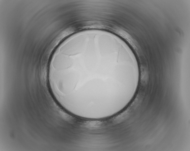 X0000112861282200910021304