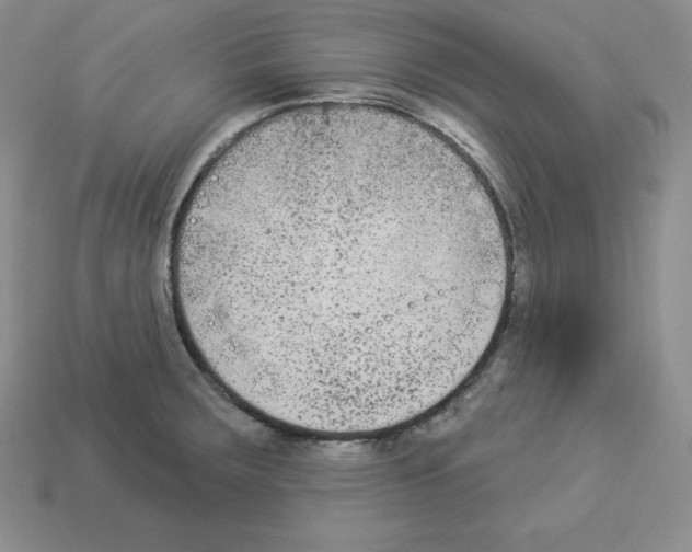 X0000112861283200910021304