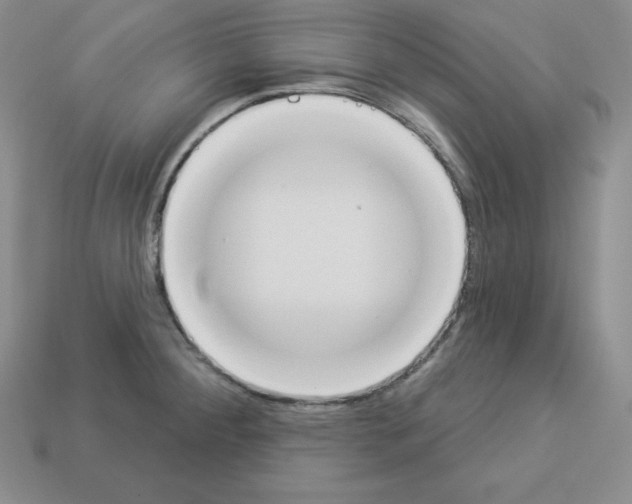 X0000112861284200910021304