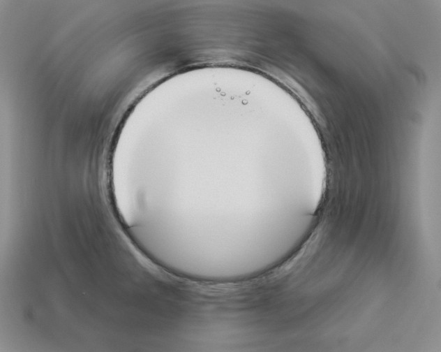 X0000112861285200910021304
