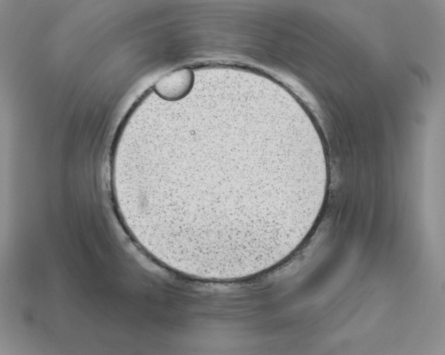 X0000112861287200910021304