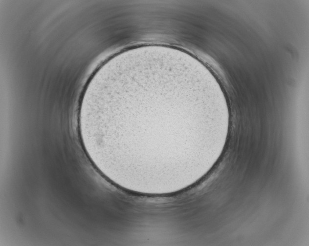 X0000112861288200910021304