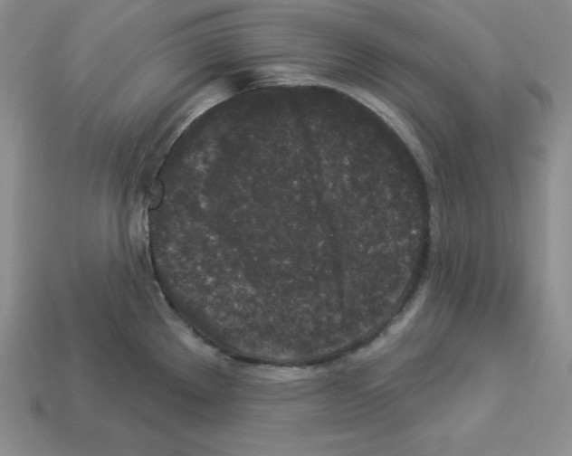 X0000112861289200910021304