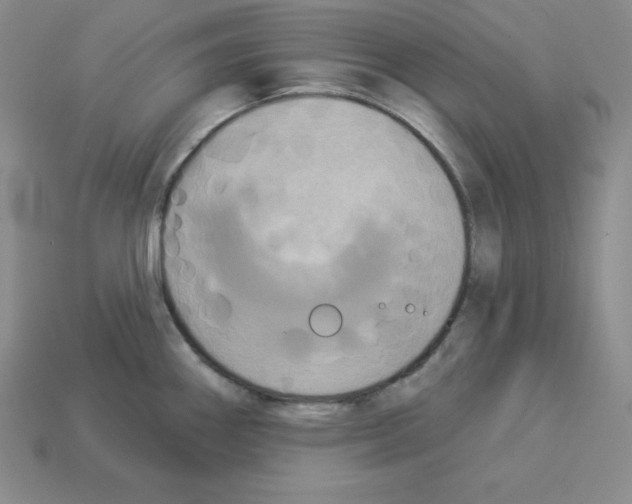 X0000112861290200910021304