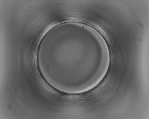 X0000112861291200910021304