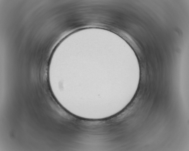 X0000112861292200910021304