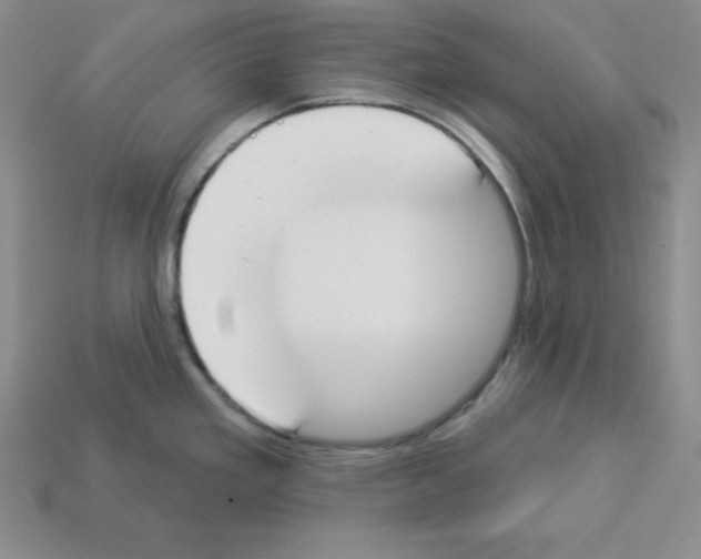 X0000112861293200910021304