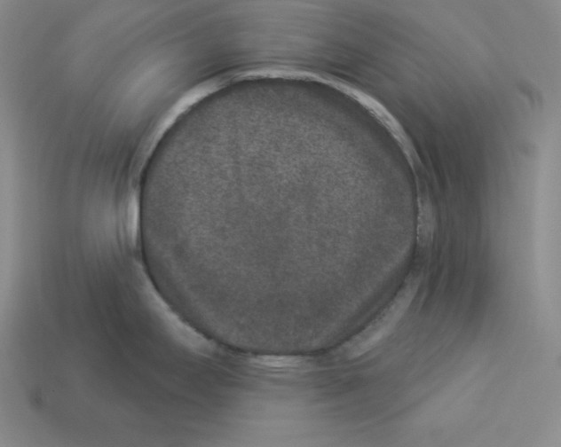 X0000112861295200910021304