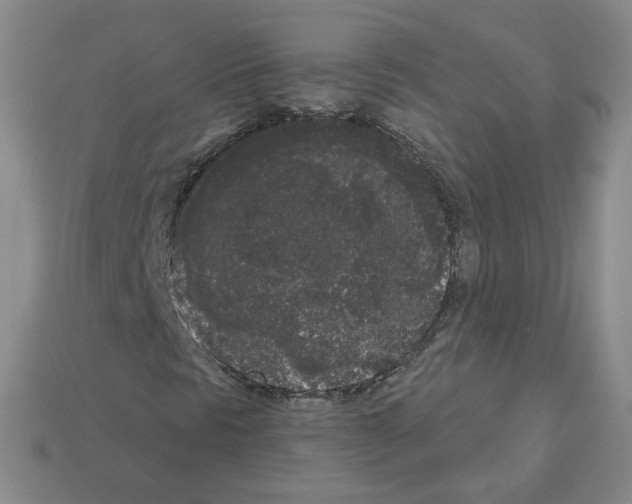 X0000112861297200910021303