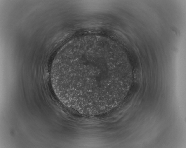 X0000112861298200910021303