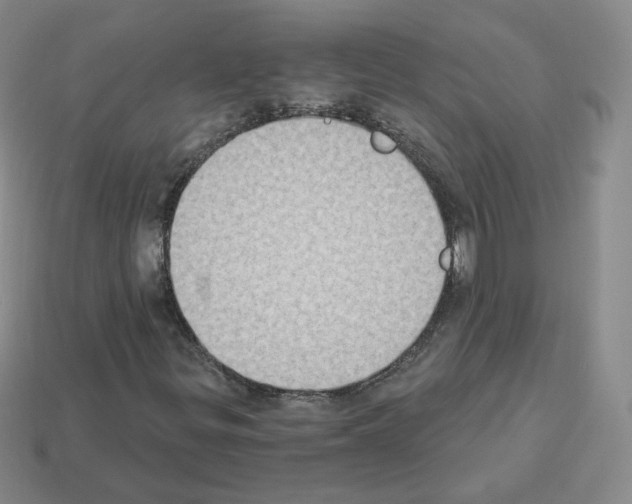 X0000112861299200910021303