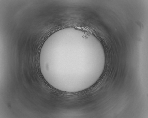 X0000112861300200910021303