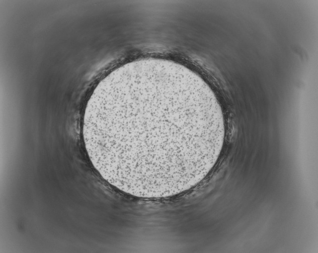 X0000112861301200910021303