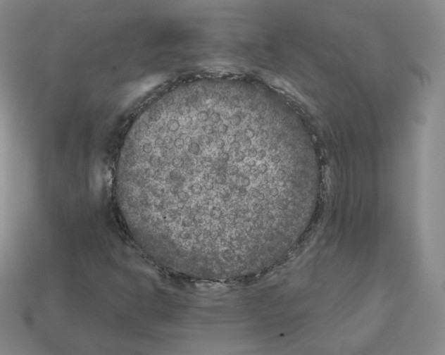 X0000112861302200910021303