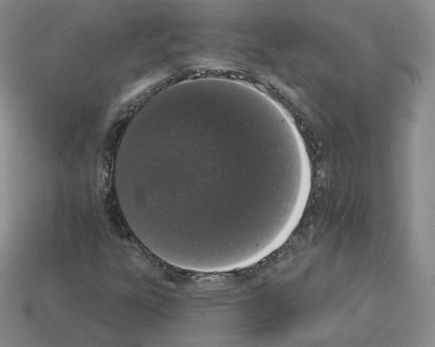 X0000112861303200910021303