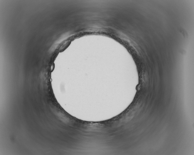 X0000112861304200910021303