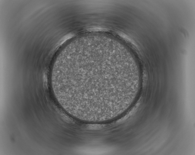 X0000112861305200910021303