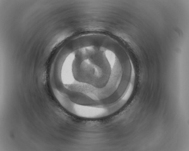 X0000112861306200910021303