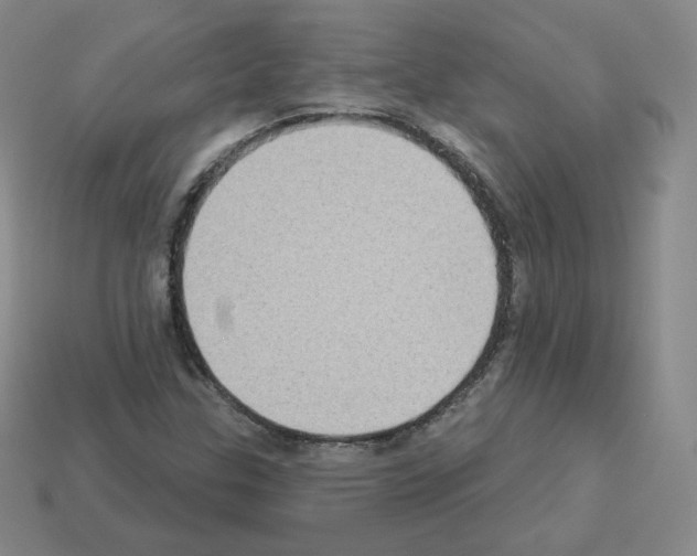 X0000112861307200910021303