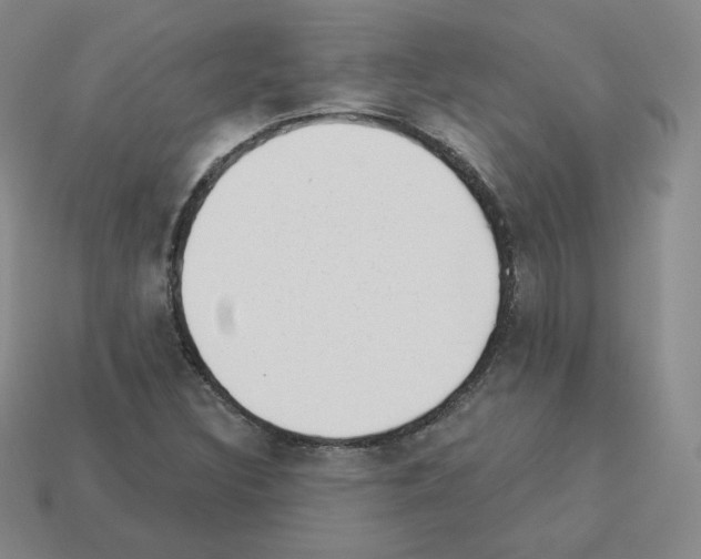 X0000112861308200910021303
