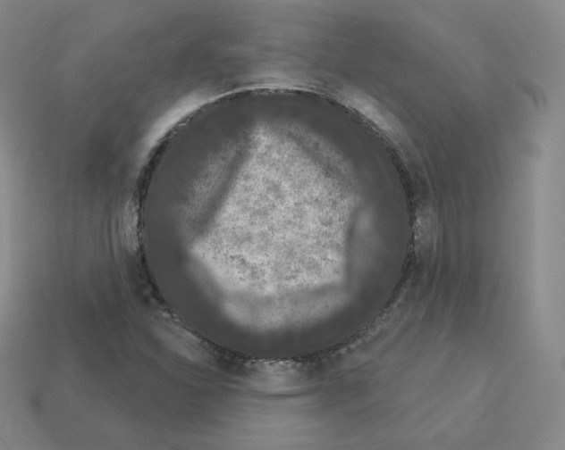 X0000112861310200910021303