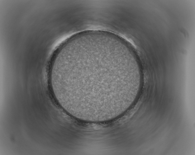 X0000112861311200910021303