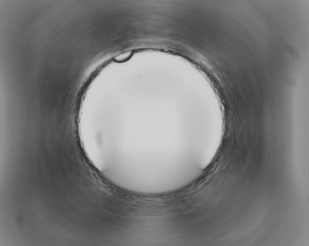 X0000112861312200910021303