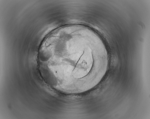 X0000112861314200910021303