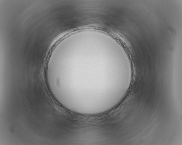 X0000112861316200910021303