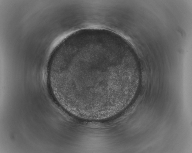 X0000112861319200910021303