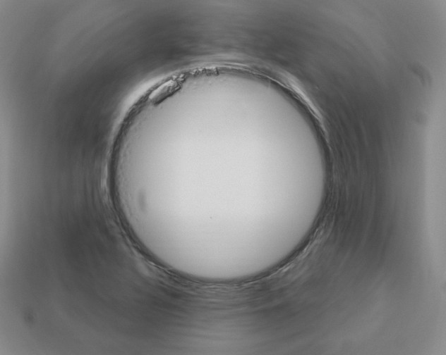 X0000112861320200910021303