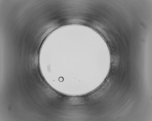 X0000112861322200910021303