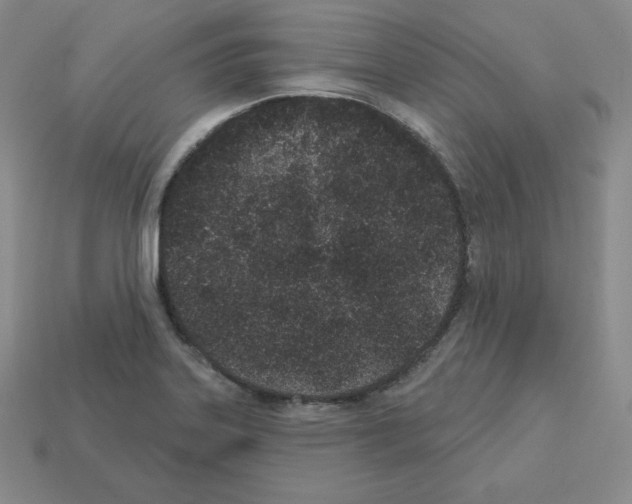 X0000112861323200910021303