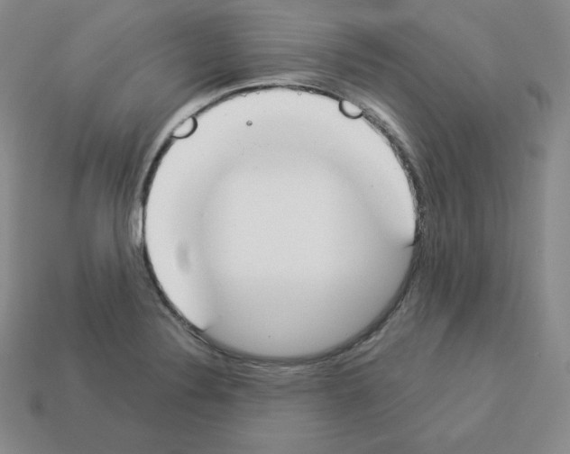 X0000112861324200910021303