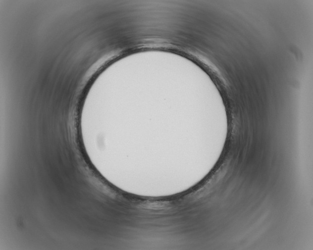 X0000112861325200910021304