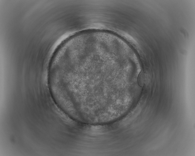 X0000112861326200910021304