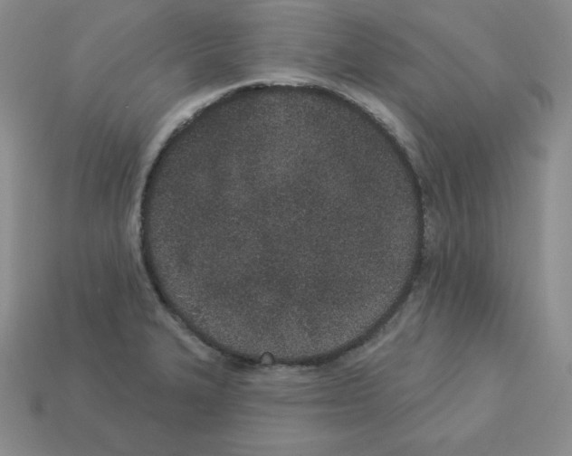 X0000112861327200910021304