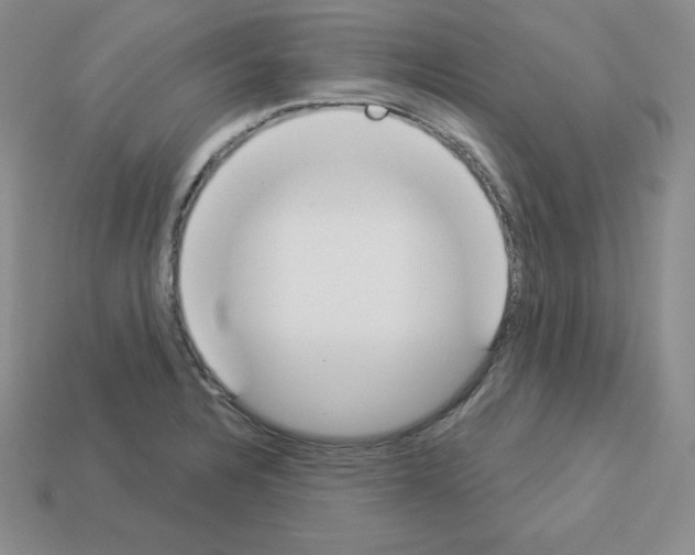 X0000112861328200910021304