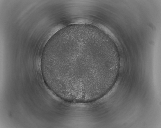 X0000112861329200910021304