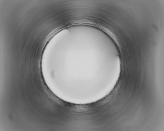 X0000112861330200910021304