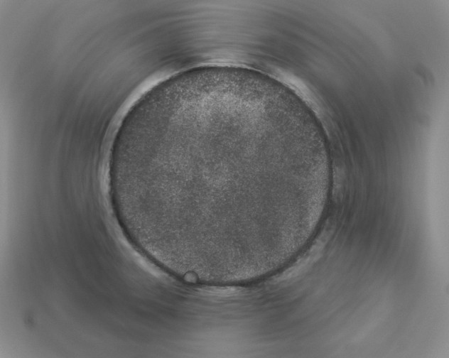 X0000112861331200910021304