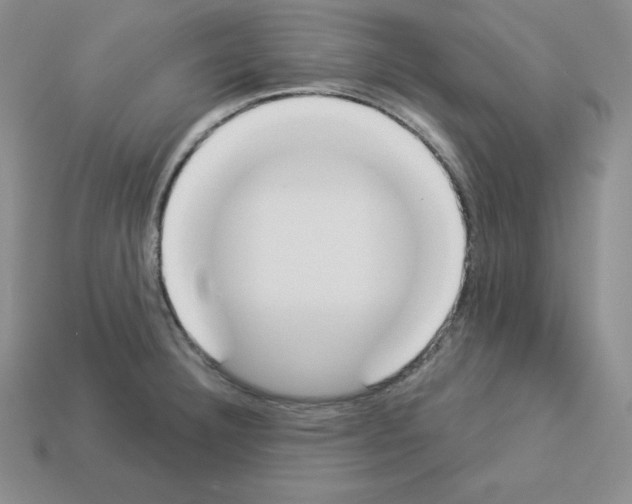 X0000112861332200910021304