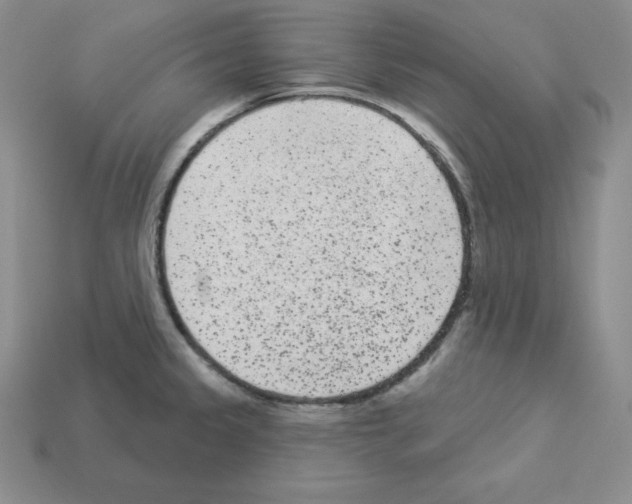 X0000112861333200910021304