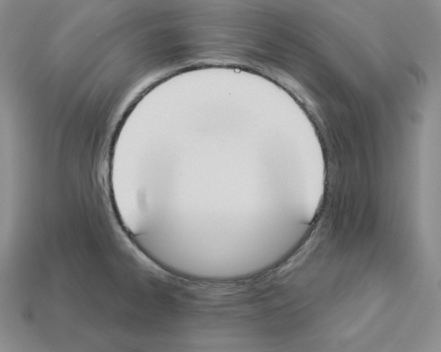 X0000112861334200910021304