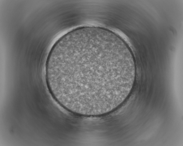 X0000112861335200910021304