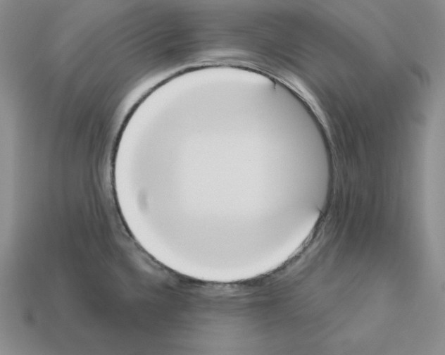 X0000112861336200910021304