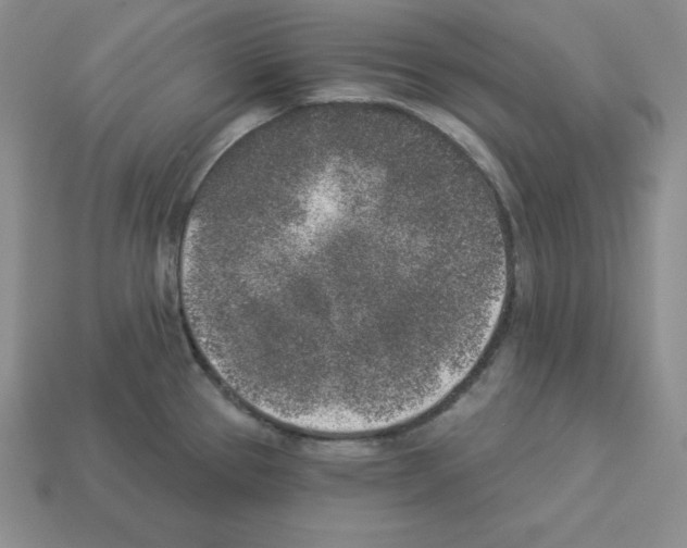X0000112861337200910021304