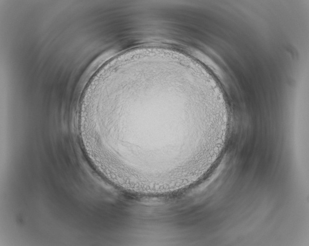 X0000112861338200910021304