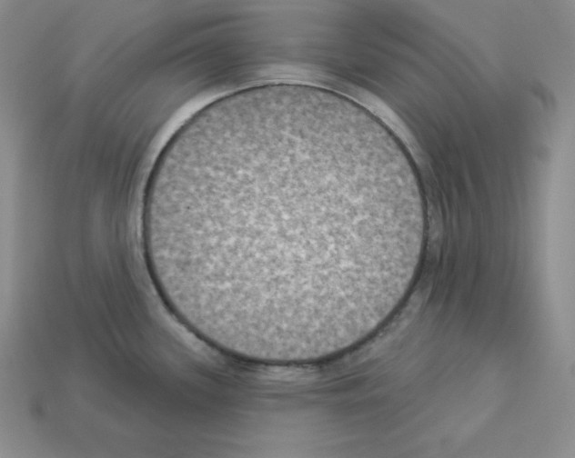 X0000112861339200910021304